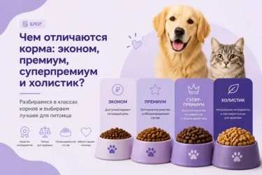 Чем отличаются корма эконом, премиум, супер-премиум и холистик?