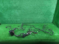 IMG_20260714_080629.JPG