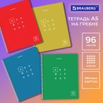 Тетрадь А5 96 л. BRAUBERG, гребень, клетка, обложка картон, "Knowledge", 404421, 4шт