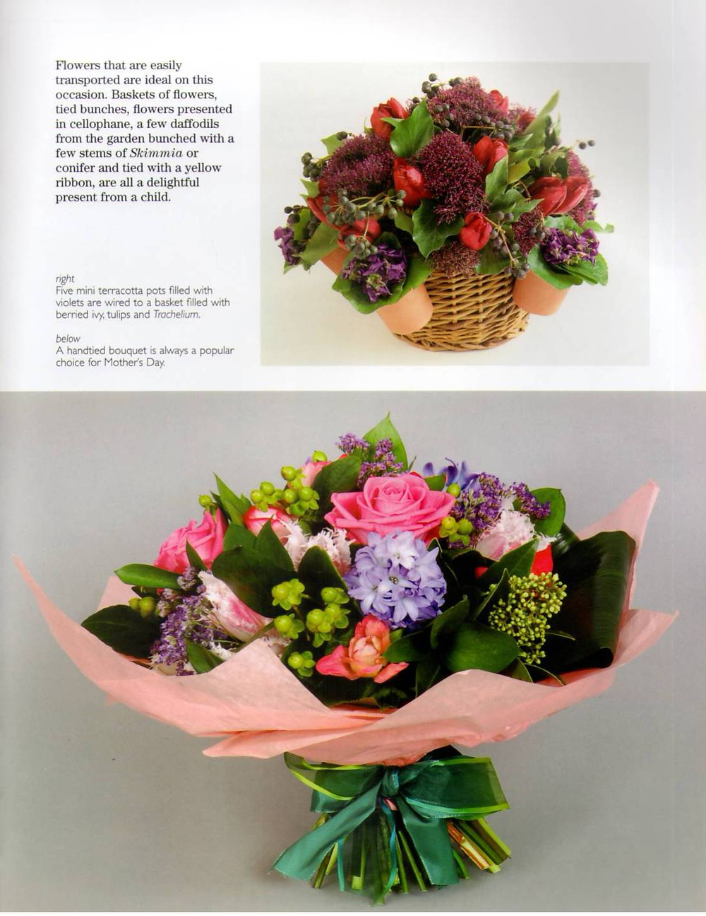The Encyclopedia of Flower Design by Judith Blacklock