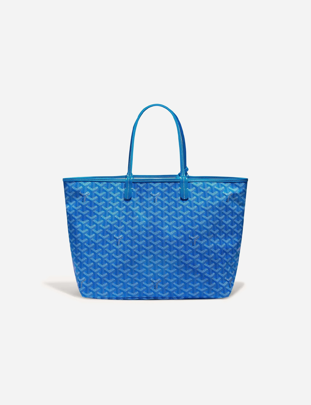 Goyard Saint Louis PM Bag "Sky Blue"