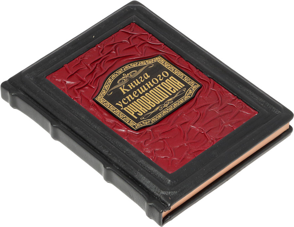 Книга успешного руководителя