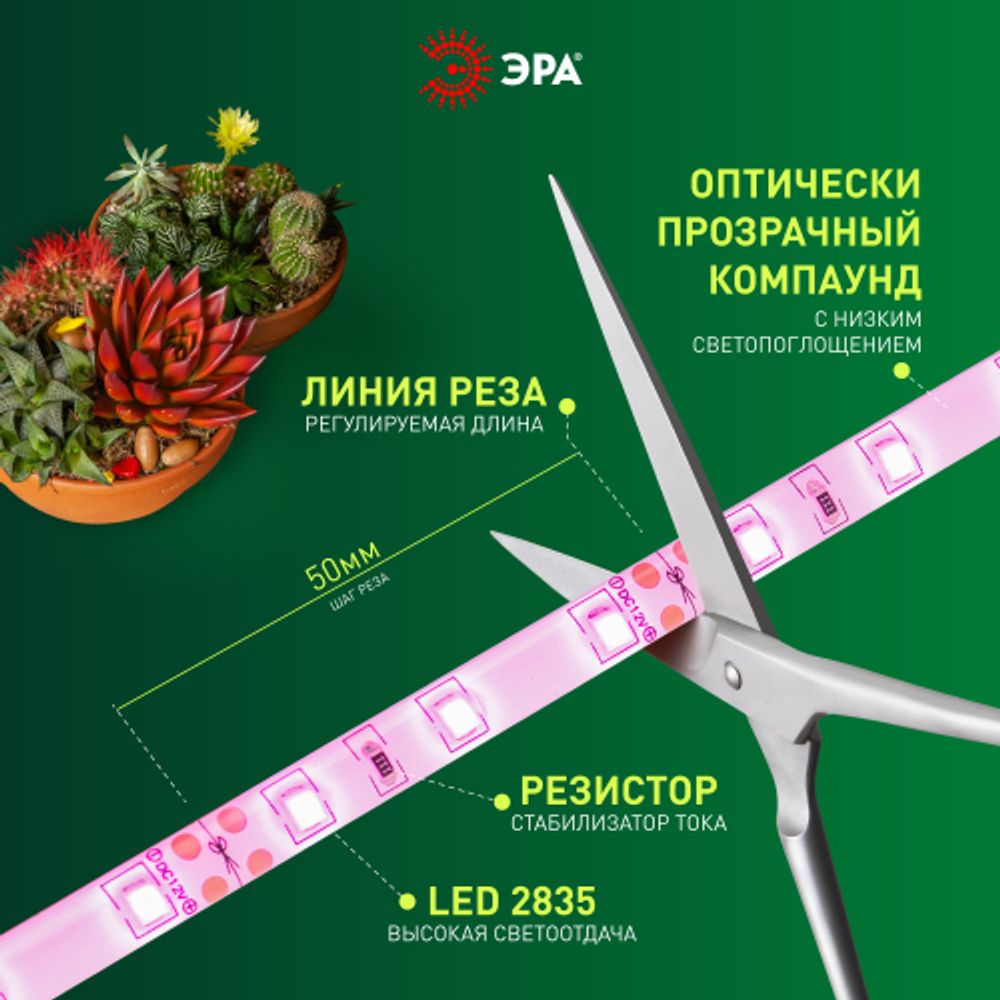Светодиодная лента для растений ЭРА FITO-Strip Light-RB-27W-3m-12V-IP65 красно-синего спектра 3м IP65 с адаптером 12V | Светодиодные ленты для растений
