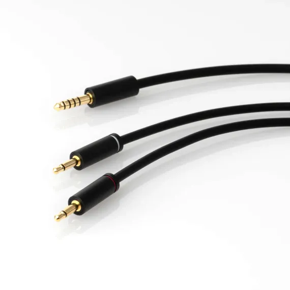 Final Audio DX3000CL Black