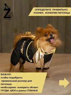 Комбинезон для мелких и средних собак