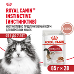Royal Canin Instinctive Инстинктив Корм влажный для взрослых кошек в возрасте от 1 года до 7 лет соус 85г