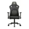 Cougar Defensor Black Gold