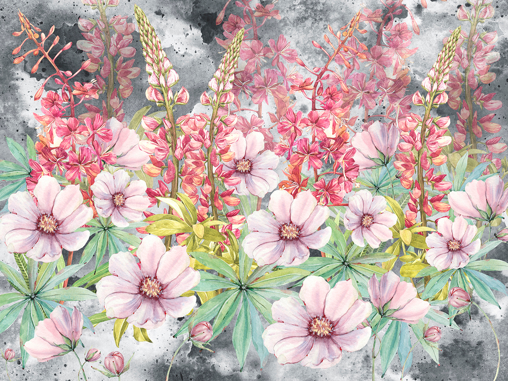 MORNING DEW 9