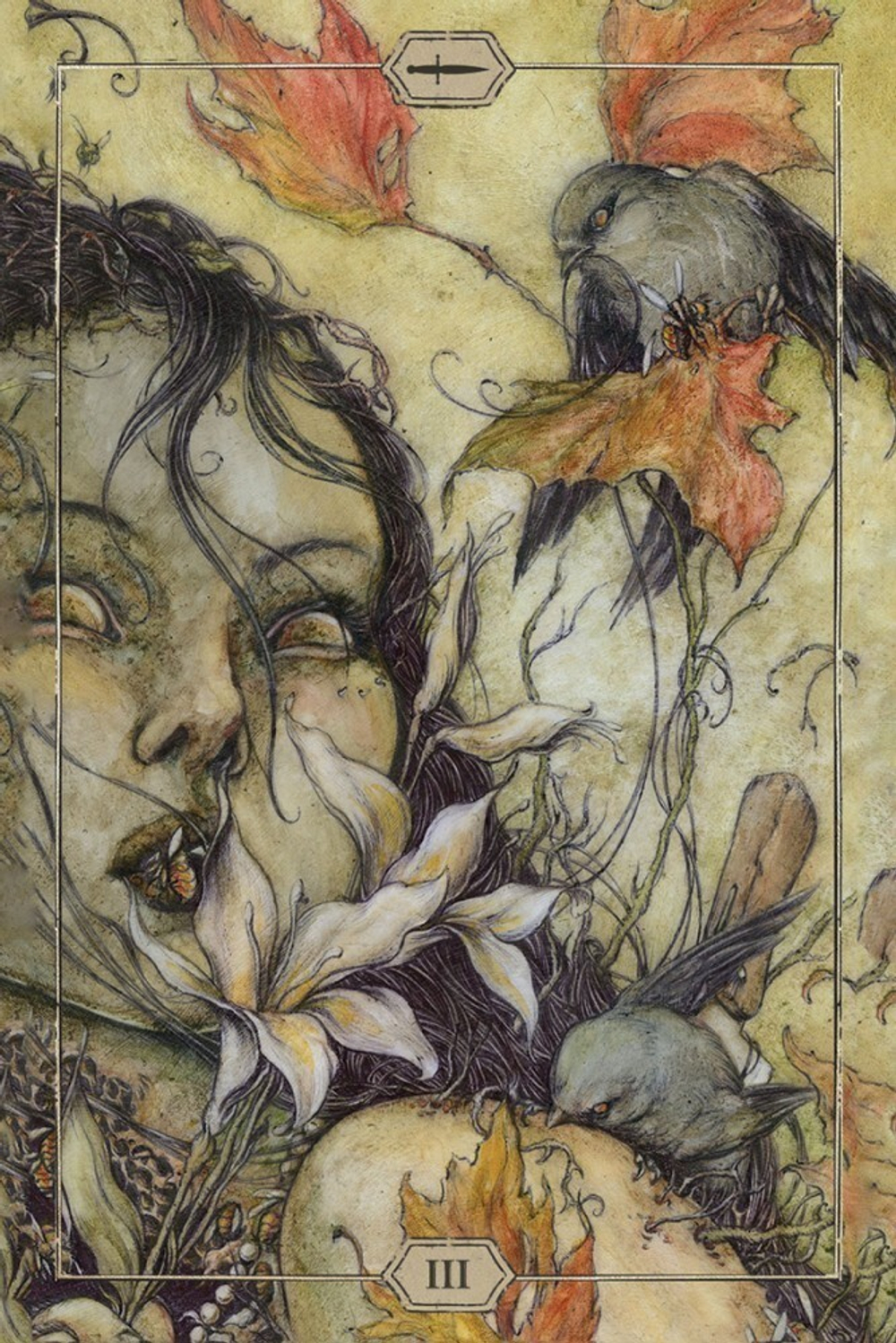 Hush Tarot / Таро Тишины