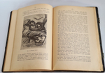 "Из родной природы". Д.Н.Кайгородов. 1907 г.