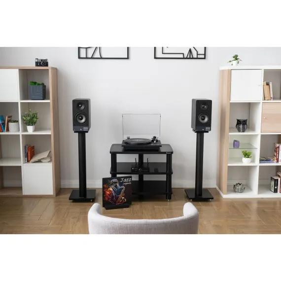 Radiotehnika S-20N Black Ash