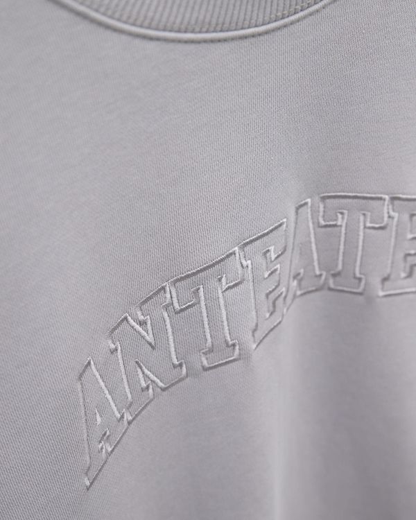 Толстовка Crewneck BigText серая - фото 8