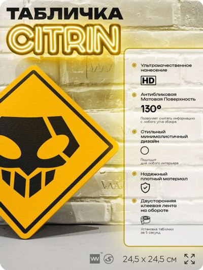 Табличка по аниме "Блич, Bleach" на дверь и стену, прикольная штука в подарок анимешнику, декоративный знак, 24,5х24,5 см, пластиковая, Айдентика Технолоджи