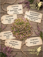 Вереск цвет сушеный россыпь