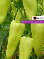 Перец сладкий Элма F1 30шт