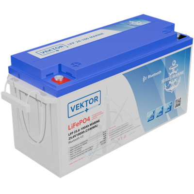 LFP 25.6-100 MARINE Smart BMS 100A (Bluetooth 4.0)