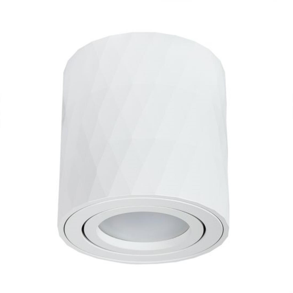 Накладной светильник Arte Lamp FANG A5559PL-1WH