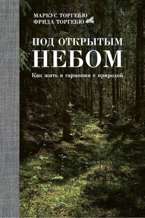 Под открытым небом