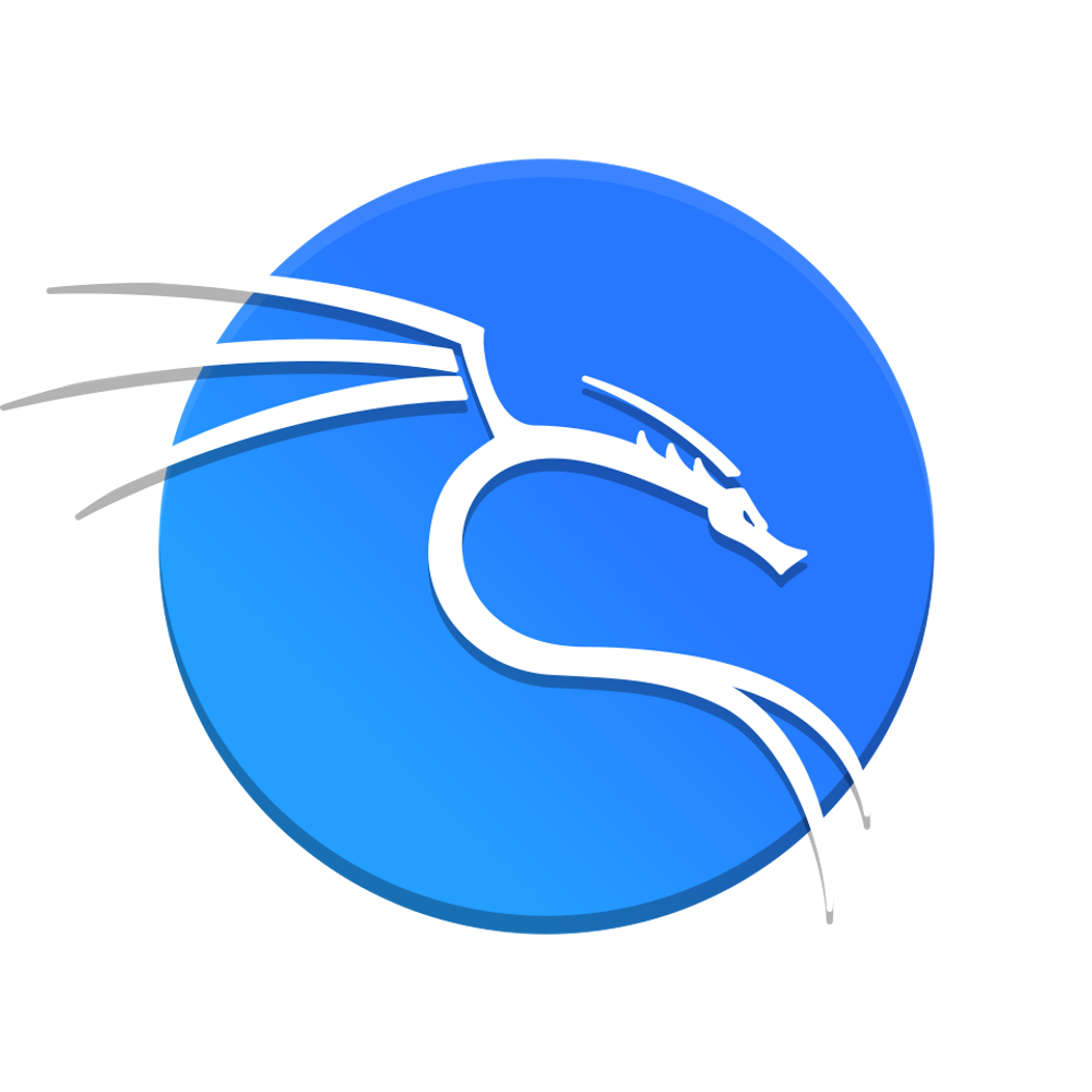 Kali Linux 2024.2 на USB