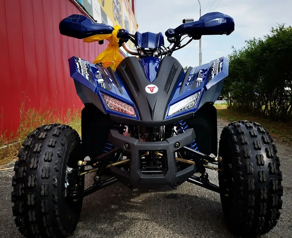 Квадроцикл MOTOLAND (МОТОЛЕНД) 125 COYOTE PRO