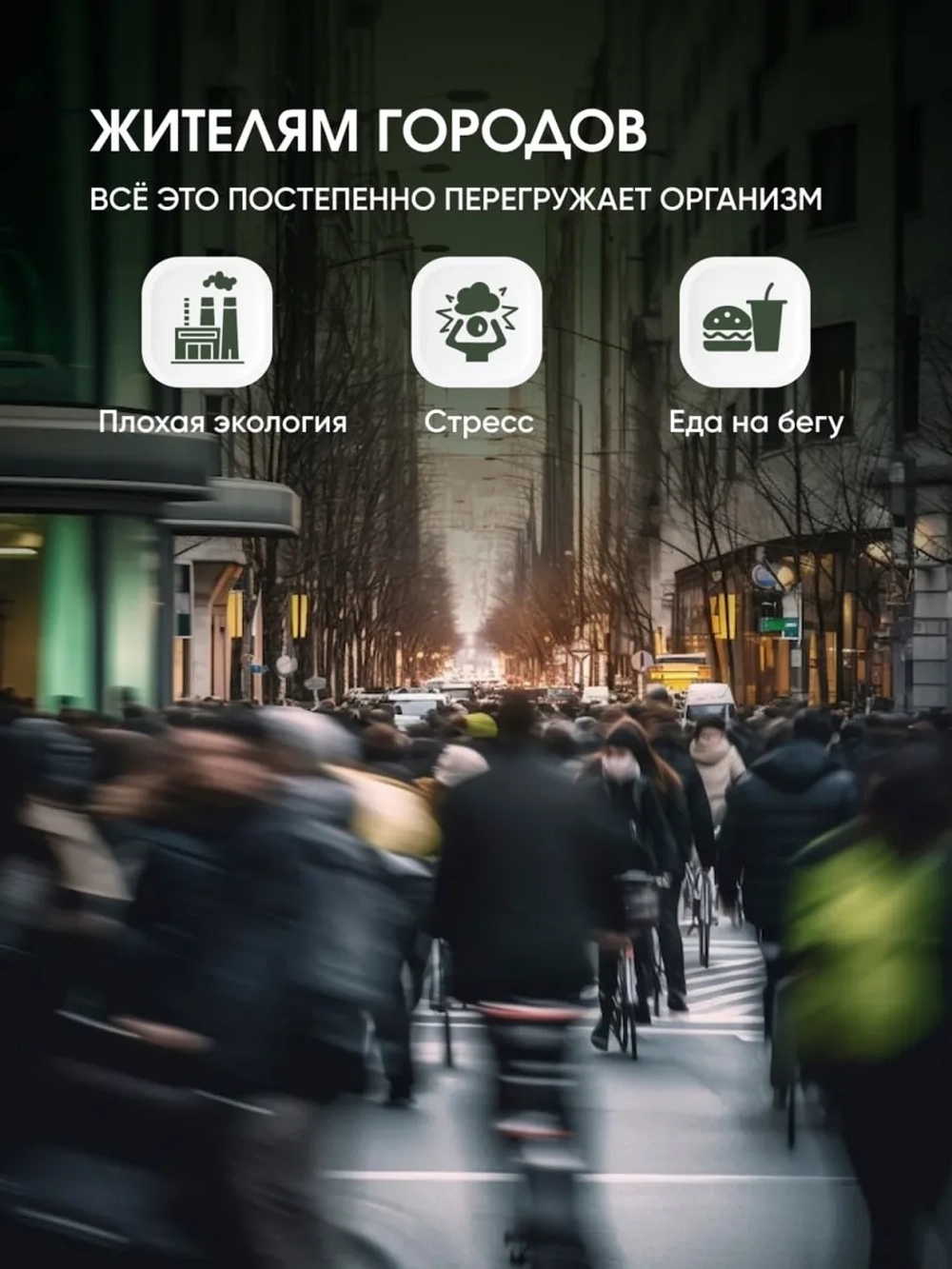 Живица кедровая 10% на миндальном масле, 50 мл