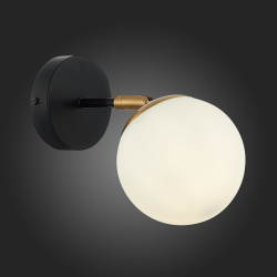 Светильник настенный ST Luce Forli SLE220401-01