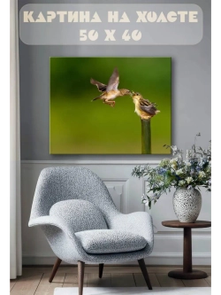 Картина на стену 40 X 50 Птицы