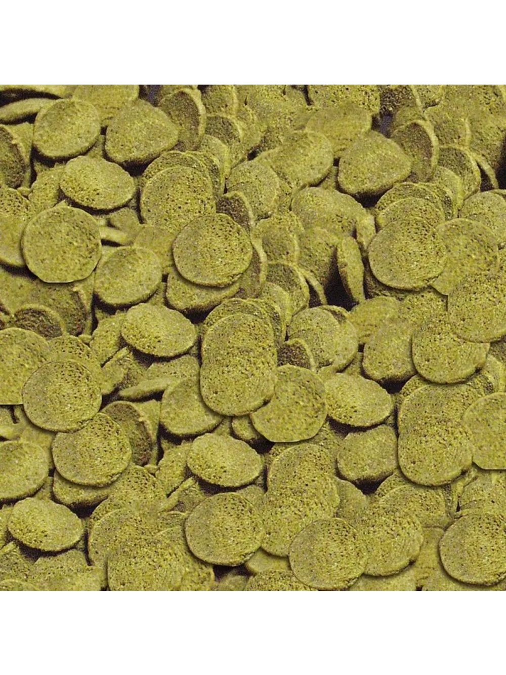 Wels Chips Корм для сомиков 100мл
