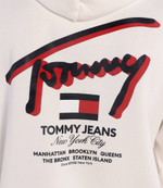 Худи 3D STREET Tommy Jeans - белый(DM0DM18647)