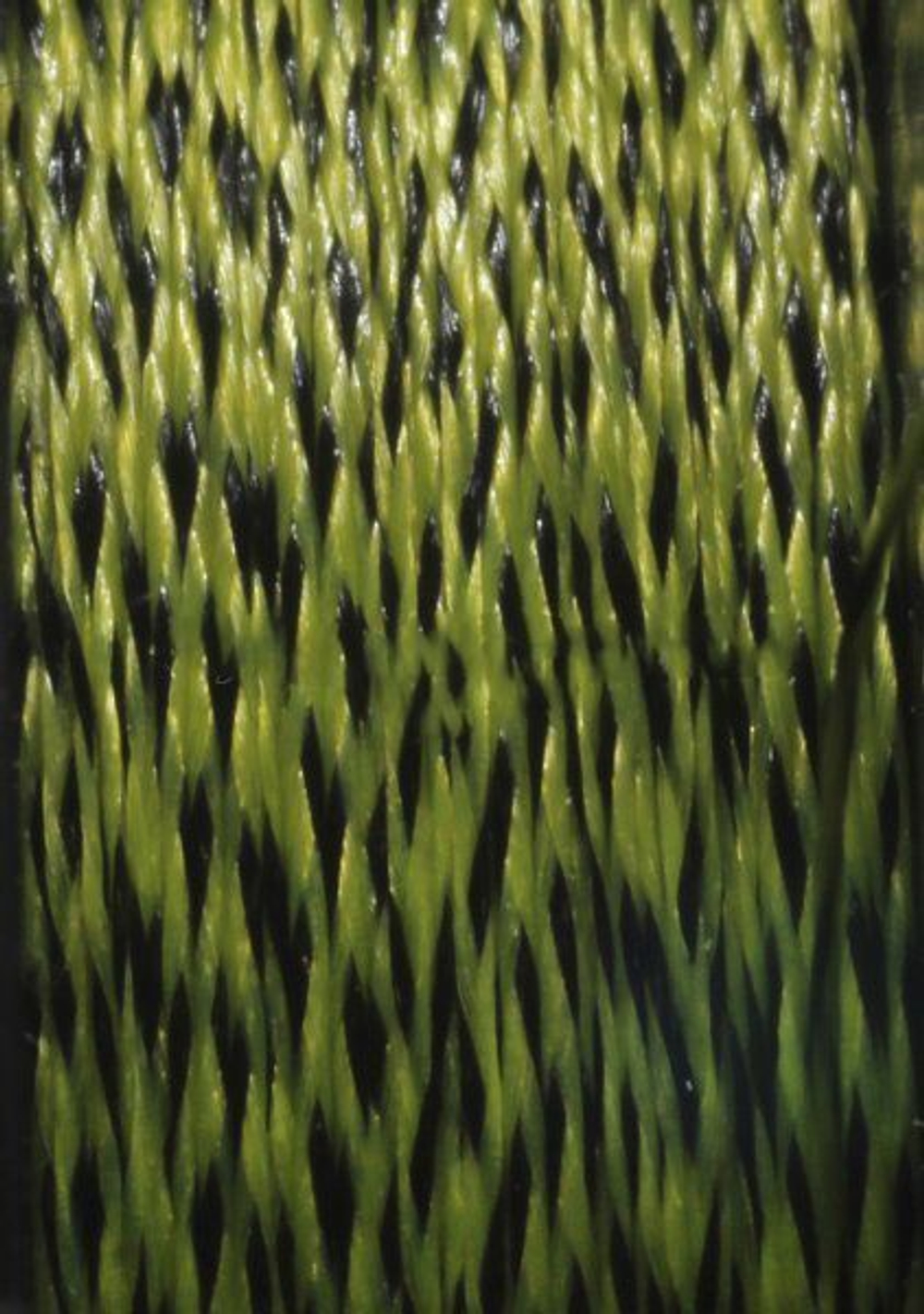 Поводочный материал CARP AGEx3 Галька/Песок 15m 7,0kg/15,4lb