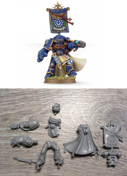 Space Marine Captain — Limited Edition, Web Exclusive