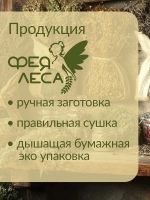 Вереск цвет для поделок,гербария и творчества