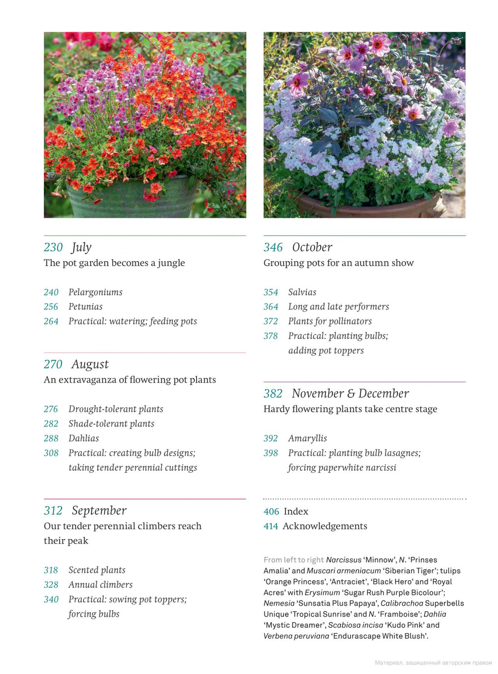 A Year Full of Pots: Container Flowers for All Seasons