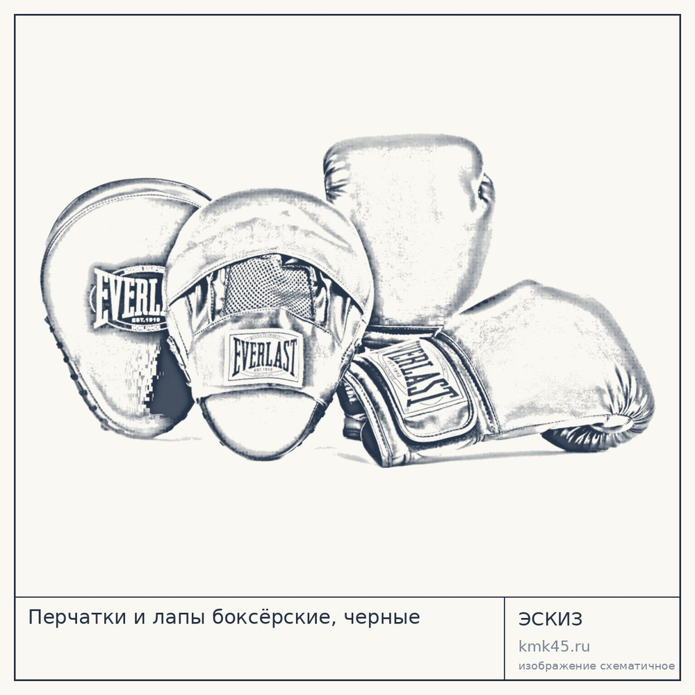 Перчатки и лапы боксёрские, черные — от 6 800 ₽