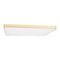 Потолочный светодиодный светильник Loft IT Flims 10228/E