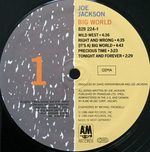 Joe Jackson / Big World (2LP)