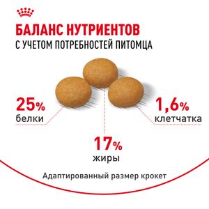 Сухой корм Royal Canin Maxi Dermacomfort для взрослых собак крупных размеров при раздражениях и зуде кожи