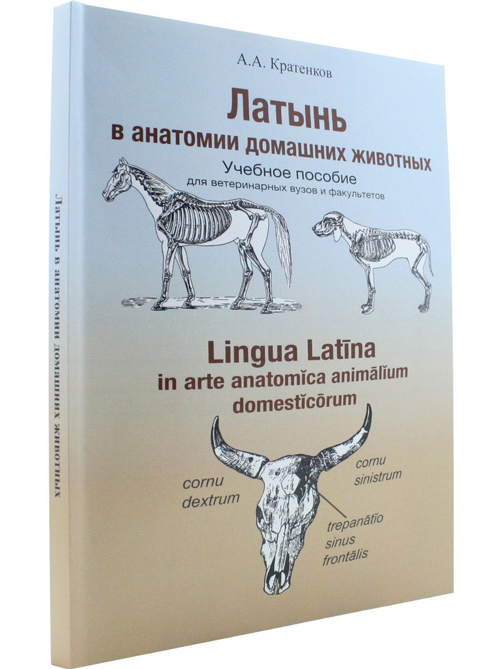 Латынь в анатомии домашних животных