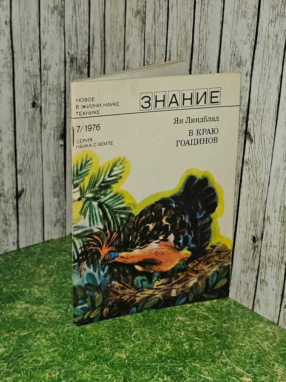 В краю гоацинов. Линдблад Ян