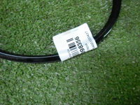 DSCN0919.JPG