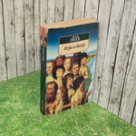 книга " Игра в бисер "