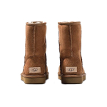 Сапоги UGG CLASSIC SHORT, 1016223-CHE
