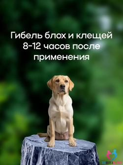 ВЕПРИПАК 1000 мг - таблетки от блох и клещей для собак крупных пород 20-40 кг,1 таблетка