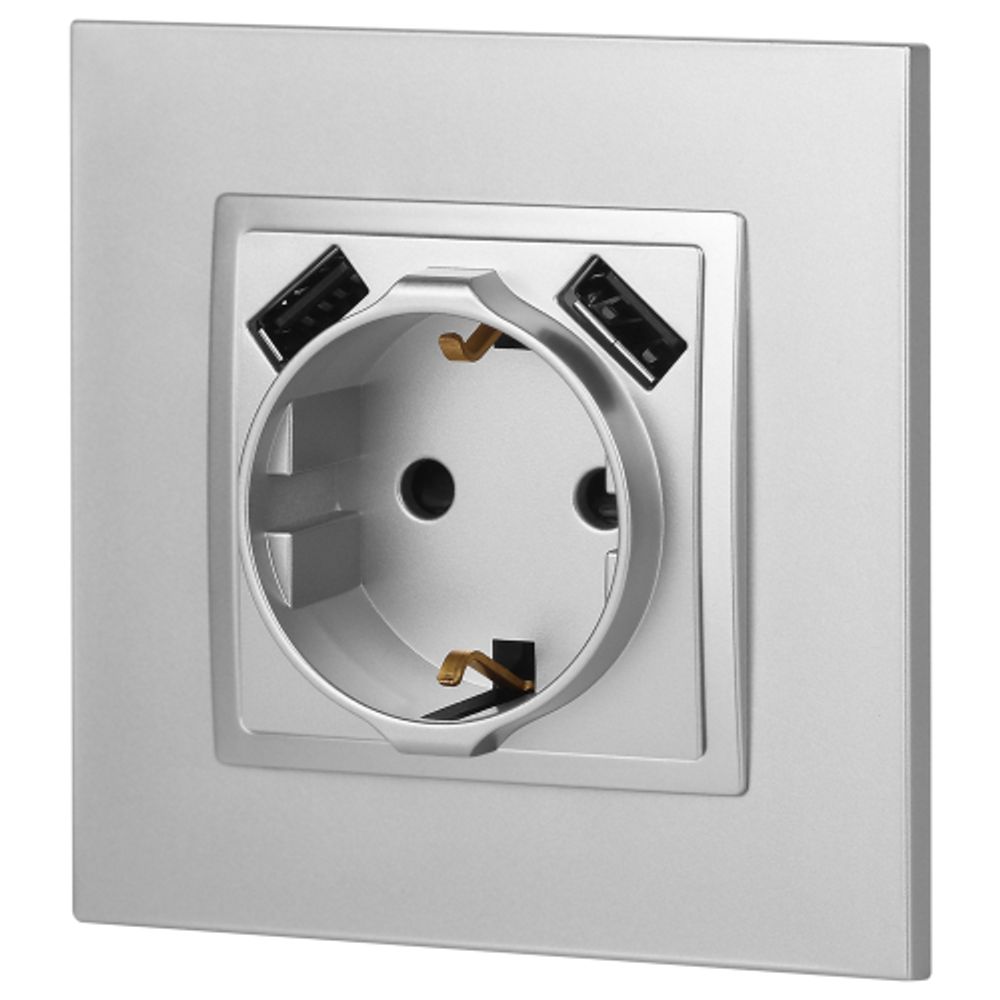 Розетка ЭРА Elegance 14-4109-03 2P+E 16A-250В штор. с 2xUSB 5В-3А алюминий | Эра Elegance
