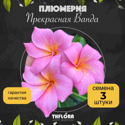 Плюмерия "Прекрасная Ванда" семена 3 штуки