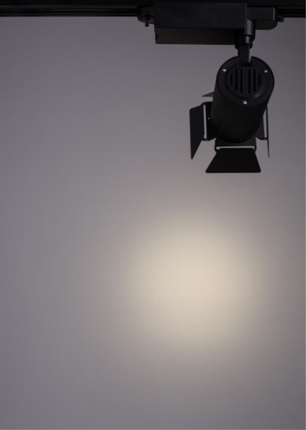 Светильник потолочный Arte Lamp Falena A6720PL-1BK
