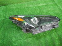 DSCN3196.JPG