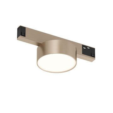 Трековый светильник с круглым плафоном LED 6W 3000К DK4761-CP шампань SHINE PRIME FLOW Denkirs