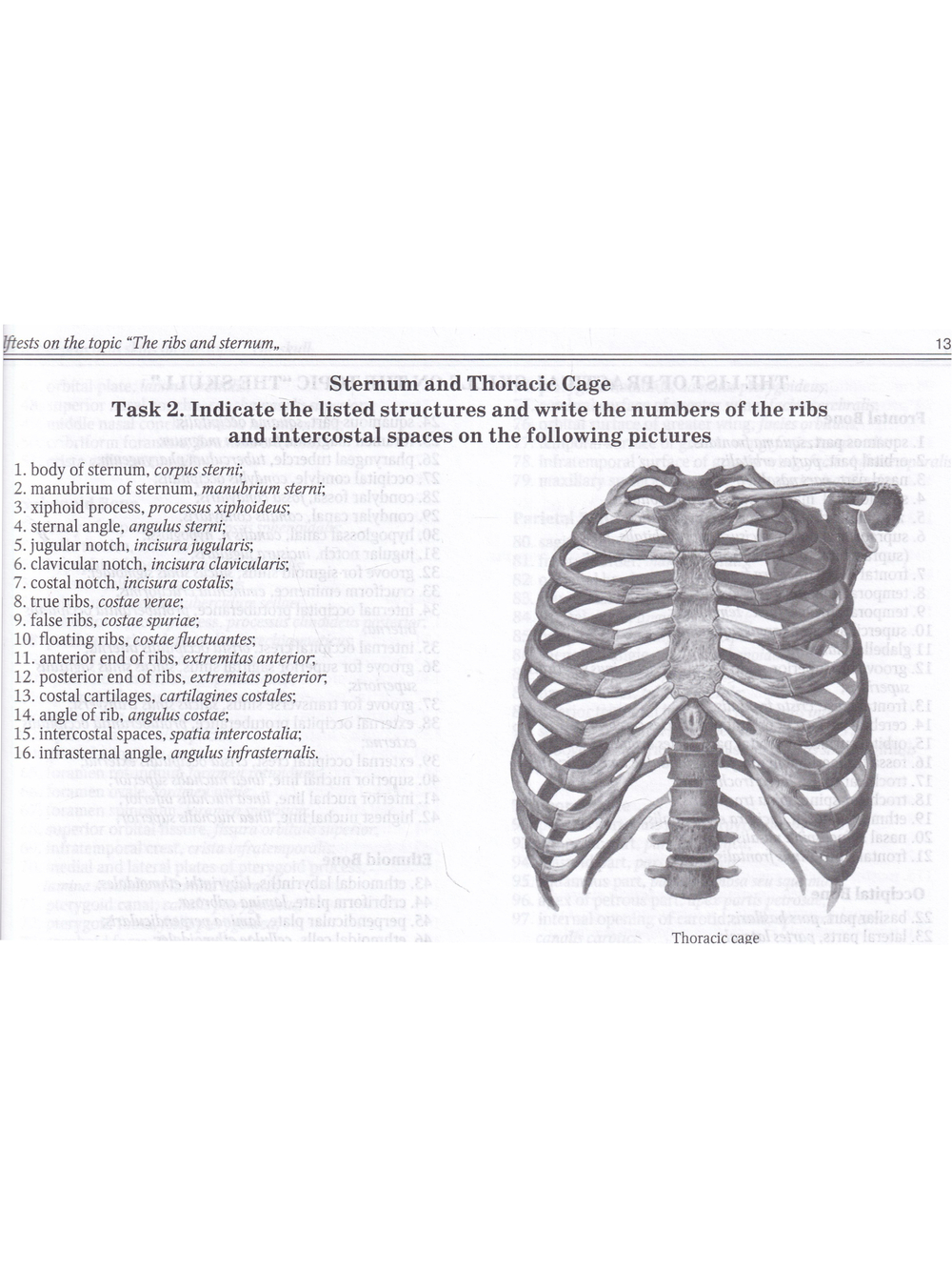 Anatomy of Bone System: Students Workbook / Анатомия костной системы. Рабочая тетрадь