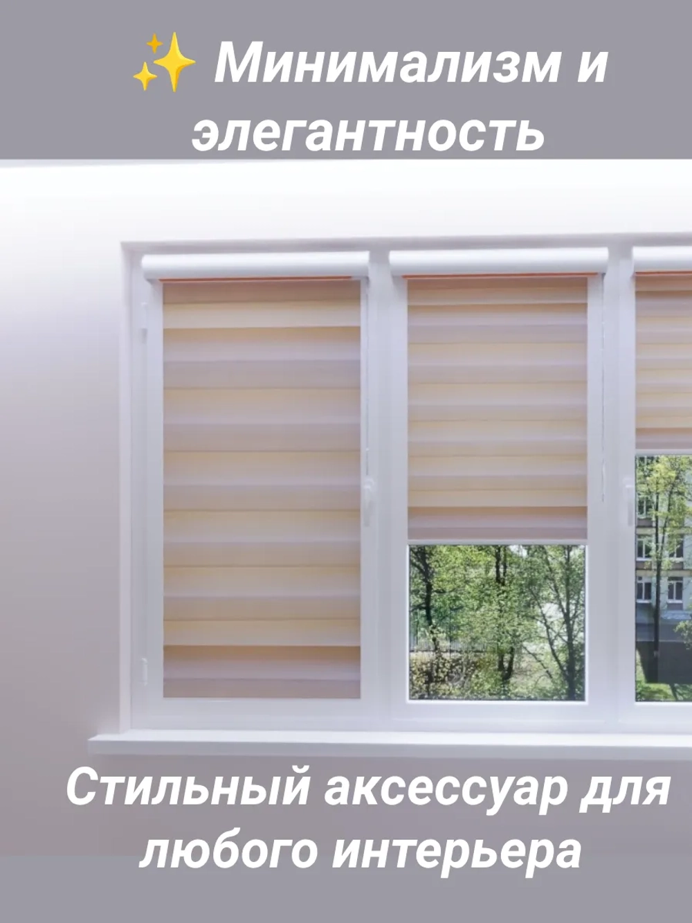Рулонные шторы День-Ночь Зебра 62х150 см